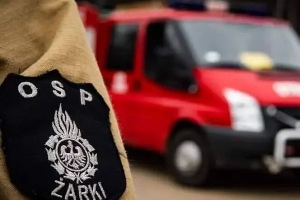Strażacy usuwali gniazdo owadów błonkoskrzydłych na poddaszu budynku w Żarkach