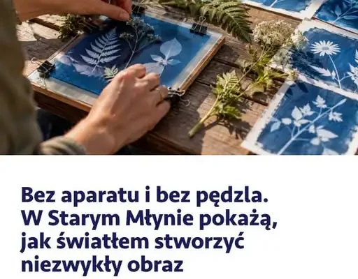 Warsztaty fotografii bez aparatu w Żarkach – Stary Młyn zaprasza