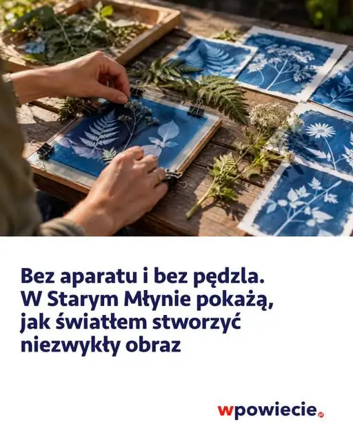 Warsztaty fotografii bez aparatu w Żarkach – Stary Młyn zaprasza
